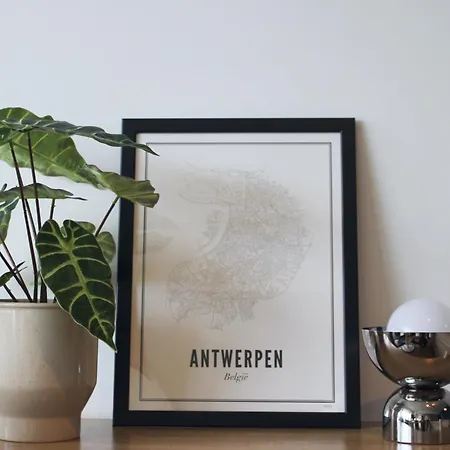Sunny Apartment - Zuid Retreat 1Br Apartment Near Scheldt River Appartamento Anversa